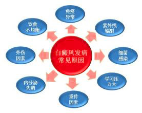 阶段型白癜风早期图片