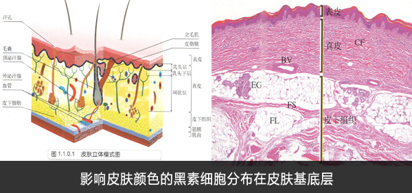 胸部白癜风患者怎样治疗