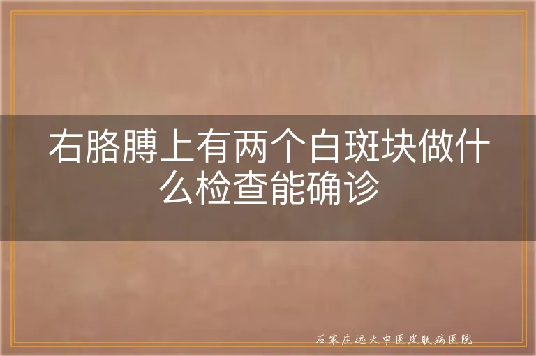 右胳膊上有两个白斑块做什么检查能确诊