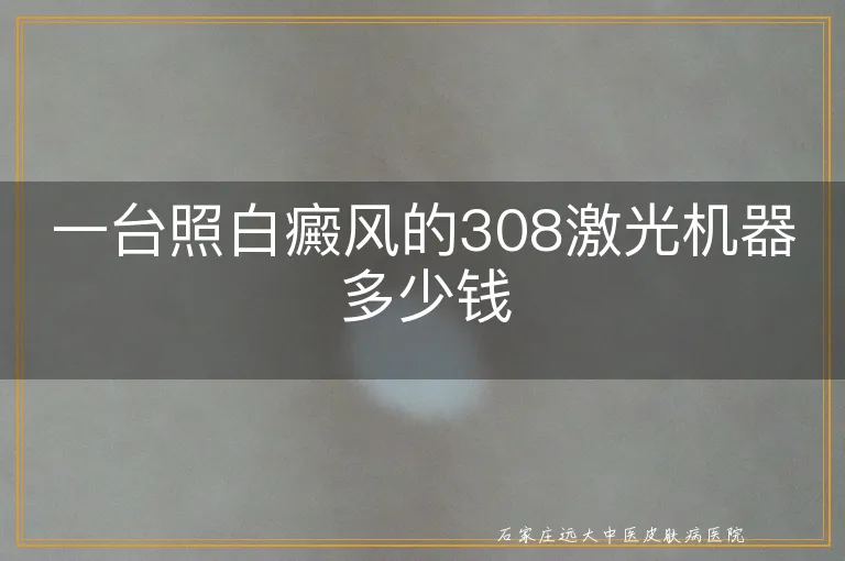 一台照白癜风的308激光机器多少钱